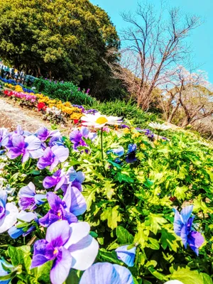 春の訪れ