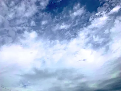 うろこ雲の広がる秋の青空