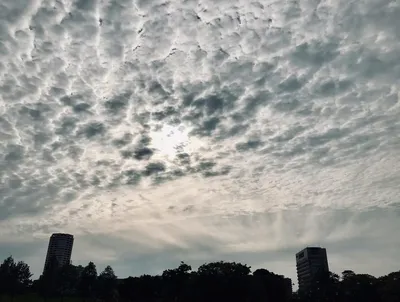 五月の空1