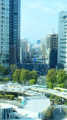 都市の眺望と緑の調和