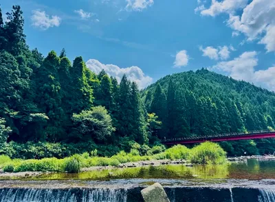 緑豊かな渓流と赤い橋の風景