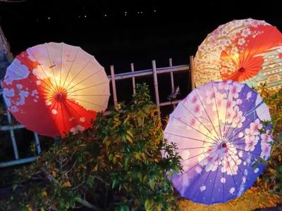 夜の和傘