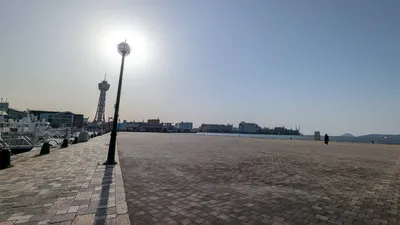 昼の港