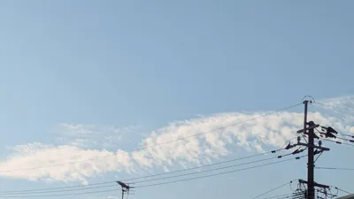 翼な雲