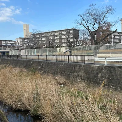 川の日常