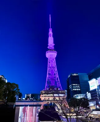 夜空に輝く紫色の電波塔