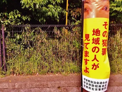 見てますよ