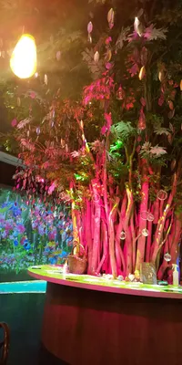 幻想的