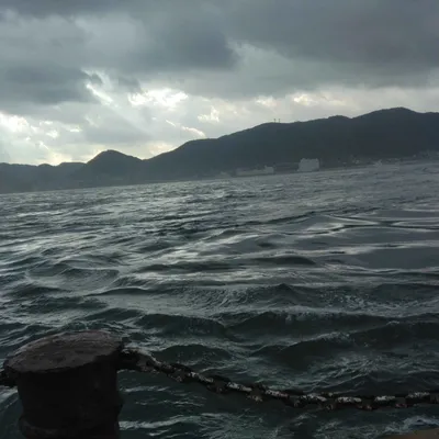 雲の海