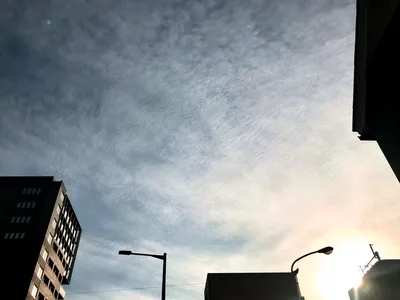 うろこ雲逆光