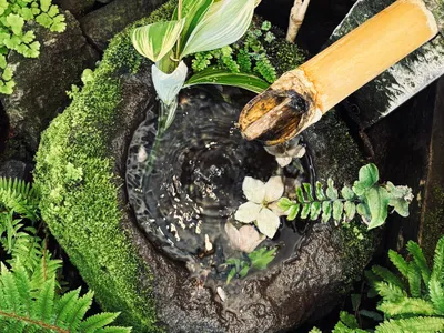 自然と調和する風情あふれる竹筒の水