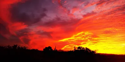 赤色お空
