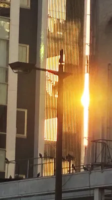 夕陽に染まる都会のビル