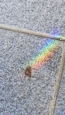 石畳に映る虹色の光の魔法