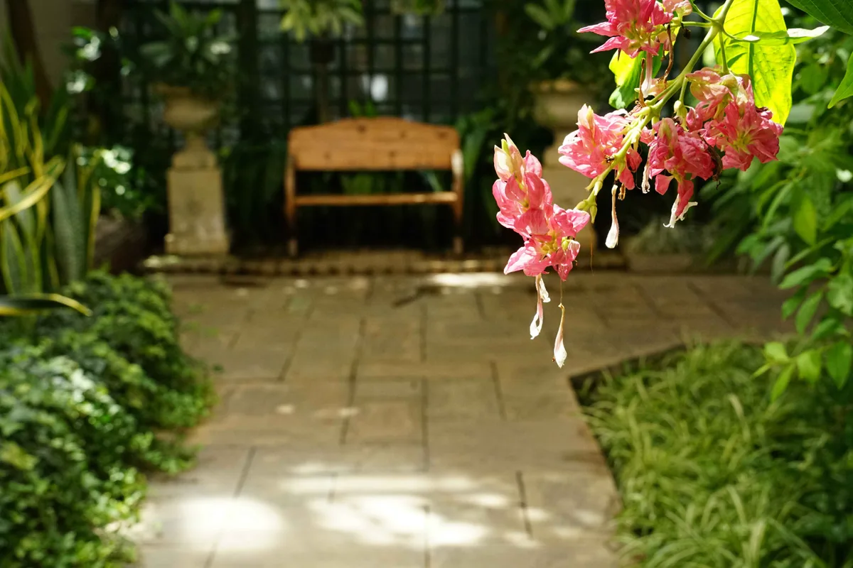庭園のベンチと彩り豊かな花