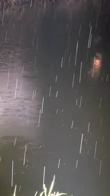 雨の夜②(縦)