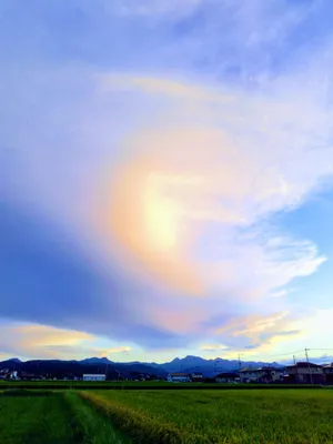 雲波