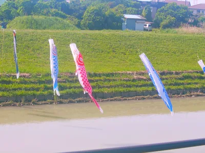 鯉登