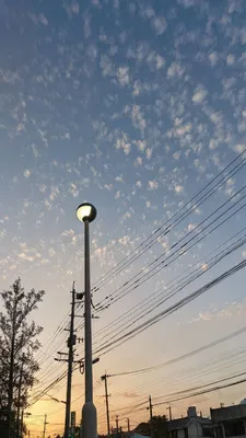 夕暮れと街灯