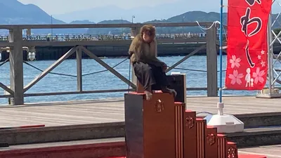 猿まわし