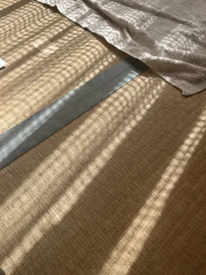 射光