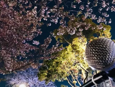 リバーウォーク夜桜2