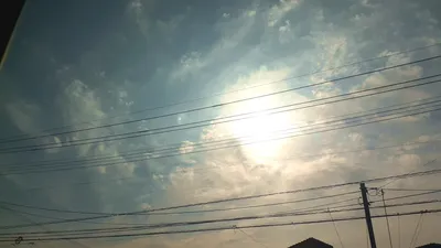 淡い雲